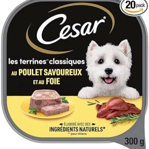 BQ.CHIEN CESAR POULET300G