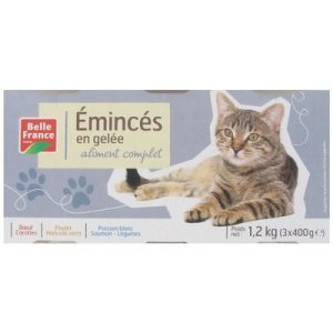 L3 1X2EMINC.GELEE CHAT BF